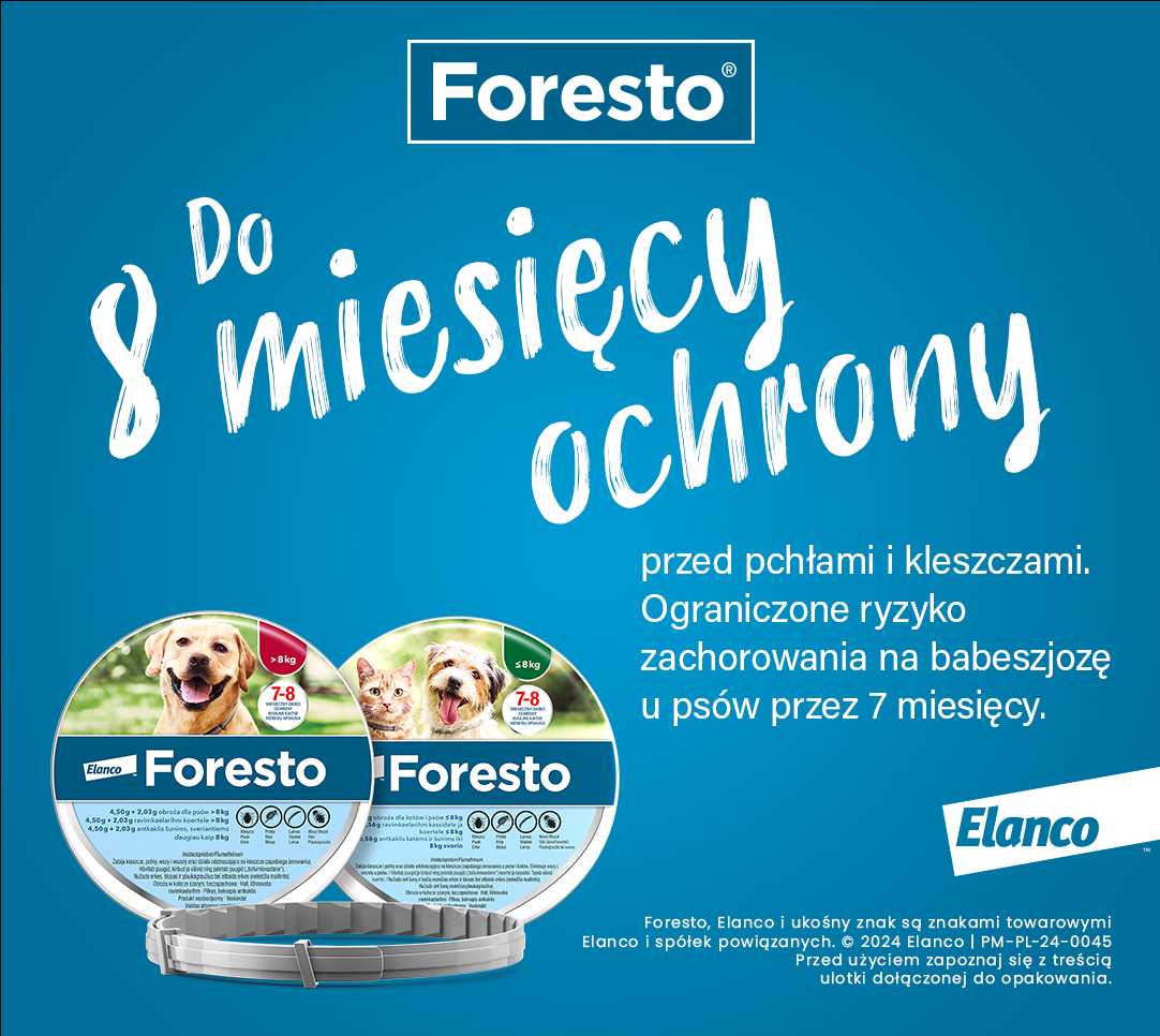 Jak działa obroża Foresto przeciwkleszczowa i przeciwpchelna?