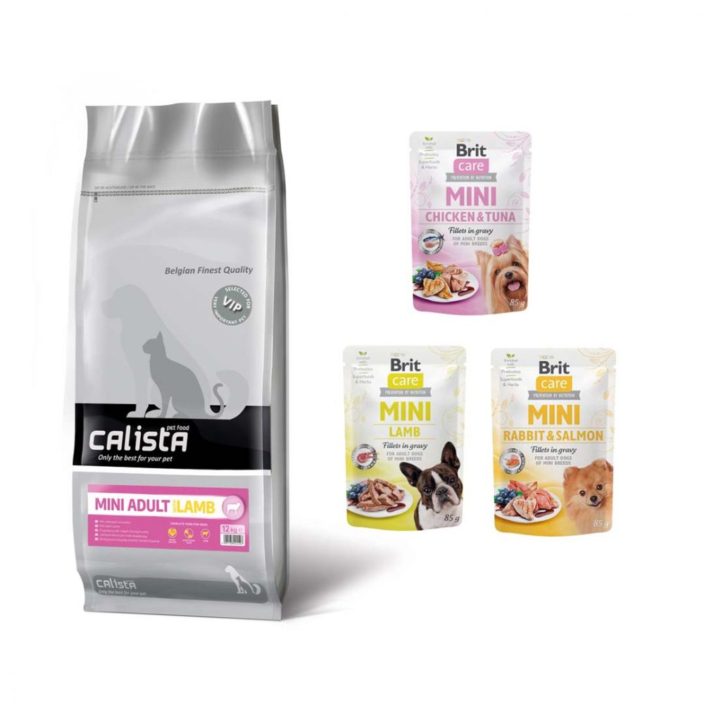 Pakiet LINCOLN Calista Mini Adult 12KG + 3 saszetki Brit Mini dla Małych Ras Mix Smaków GRATIS!