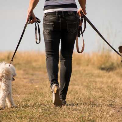 5 zalet ze spaceru z psem: sprawd je!