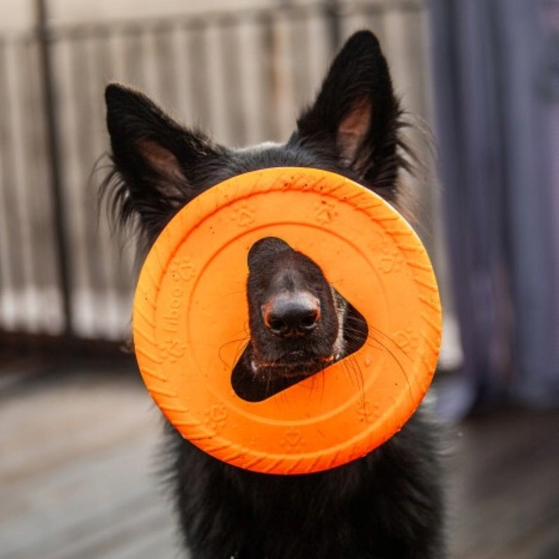 Fiboo Frisbee Frisboo żółty