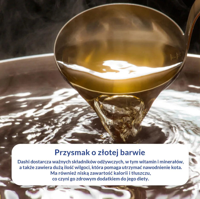 INABA CAT Dashi Delights Silky Chicken Salmon 40g