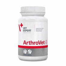 VetExpert Arthrovet Ha Dla Psów i Kotów 90 Tabletek