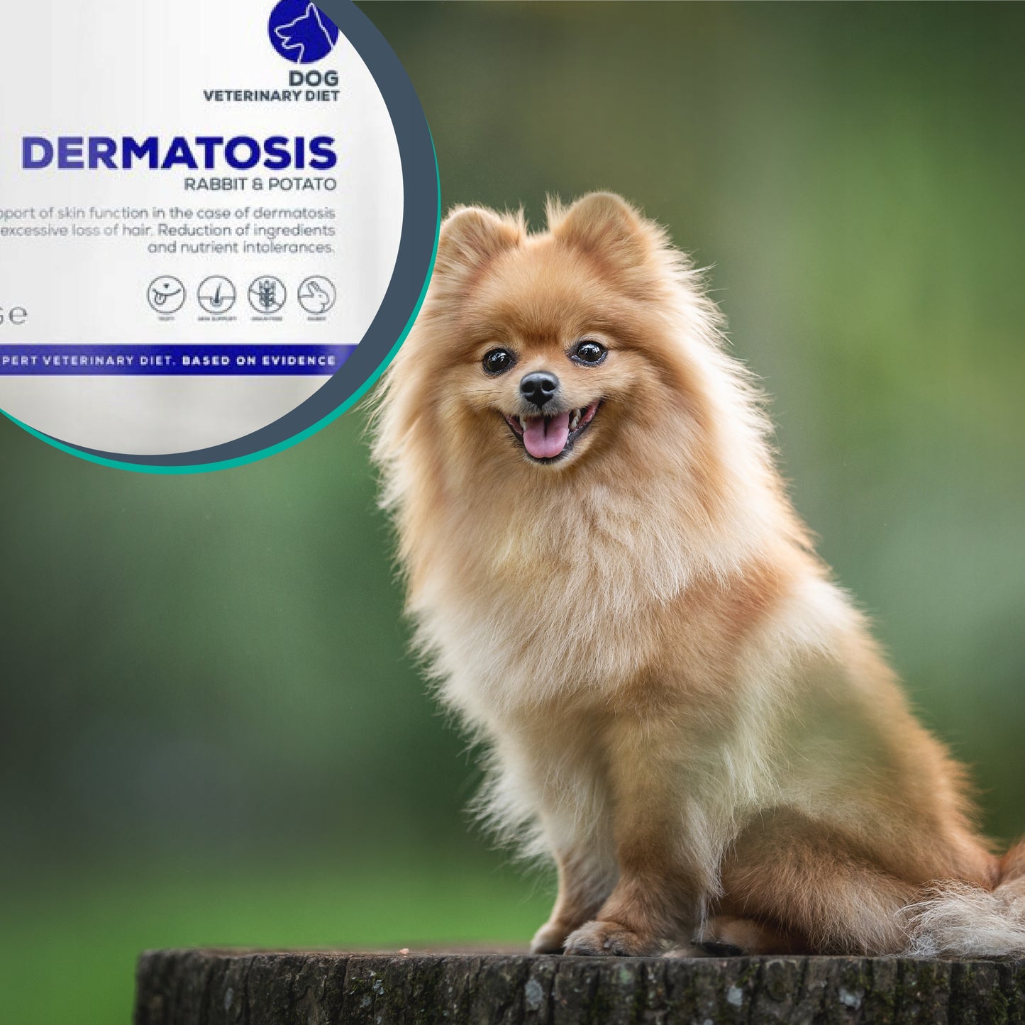 VET EXPERT 4t VD Dermatosis Dog Rabbit & Potato 2kg
