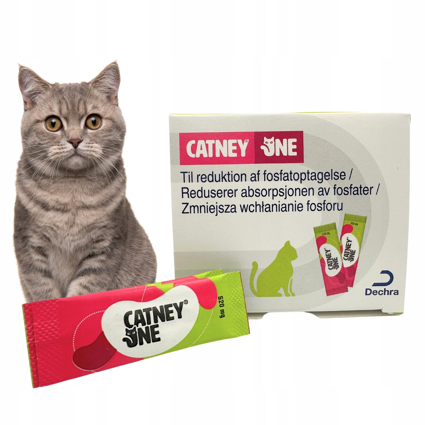 DECHRA Catney One 30x520mg wspomaga pracę nerek u kotów