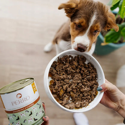 Karma Mokra dla Szczeniąt PERRO JUNIOR 800g Jagnięcina Bezzbożowa