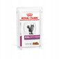 Royal Canin Veterinary Diet Renal Chicken Niewydolność Nerek Kurczak dla Kota 85 g