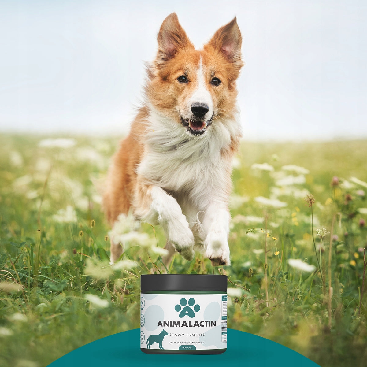 ANIMALACTIN STAWY Dla dużych psów 90g