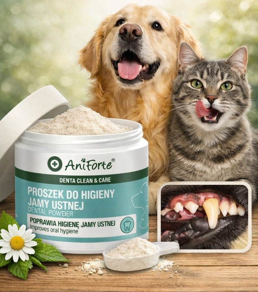 ANIFORTE PROSZEK DO HIGIENY JAMY USTNEJ 80g