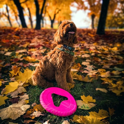 Fiboo Frisbee Frisboo żółty