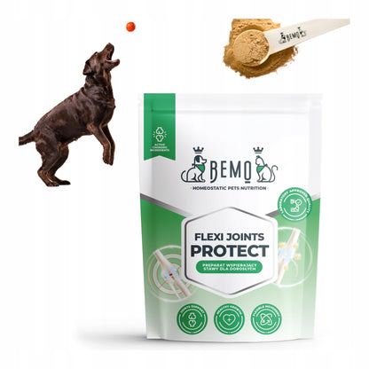 BEMO Mieszanka Flexi Joints Protect 500g