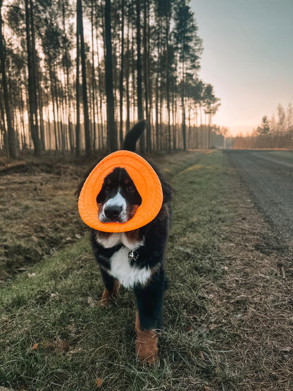 Fiboo Frisbee Frisboo żółty
