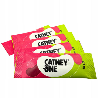 DECHRA Catney One 30x520mg wspomaga pracę nerek u kotów