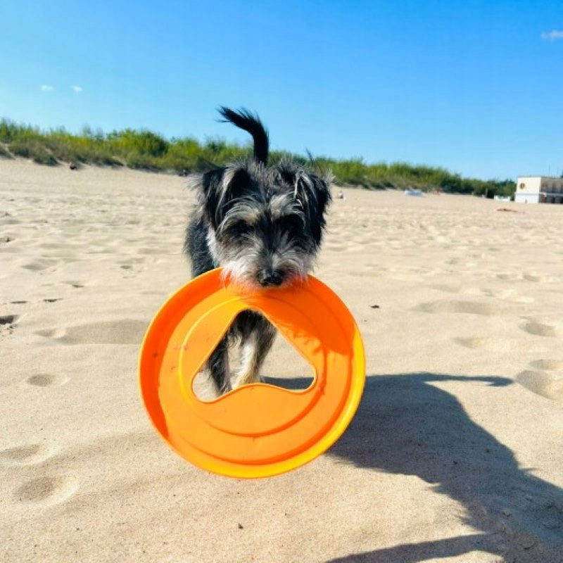 Fiboo Frisbee Frisboo żółty