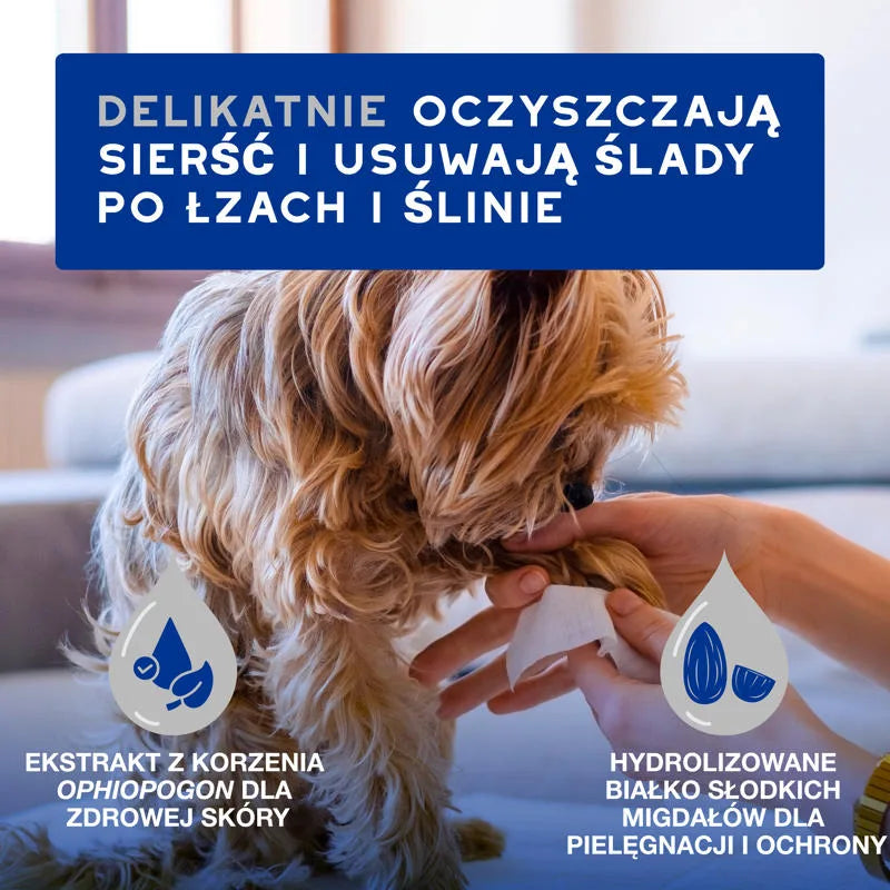DOUXO Skin &amp; Coat SPA Wipes 100sztuk ultrabezpieczne wielofunkcyjne chusteczki dla psów i kotów