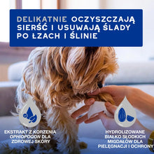 DOUXO Skin &amp; Coat SPA Wipes 100sztuk ultrabezpieczne wielofunkcyjne chusteczki dla psów i kotów