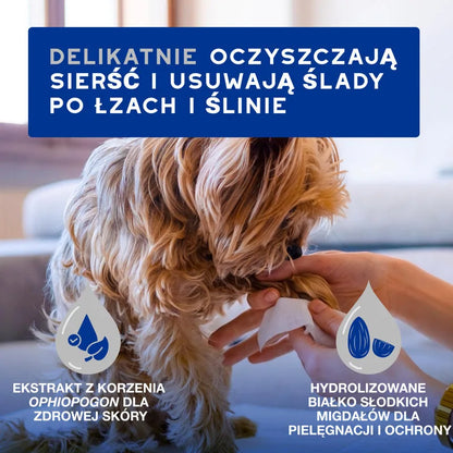 DOUXO Skin &amp; Coat SPA Wipes 100sztuk ultrabezpieczne wielofunkcyjne chusteczki dla psów i kotów