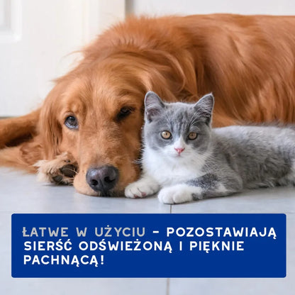 DOUXO Skin &amp; Coat SPA Wipes 100sztuk ultrabezpieczne wielofunkcyjne chusteczki dla psów i kotów