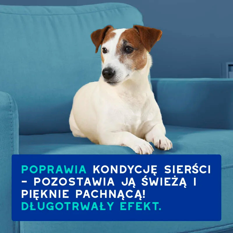 DOUXO Skin & Coat SPA Odour Control 250ml ultrabezpieczny szampon dla psów neutralizujący nieprzyjemne zapachy