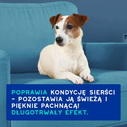 DOUXO Skin & Coat SPA Odour Control 250ml ultrabezpieczny szampon dla psów neutralizujący nieprzyjemne zapachy