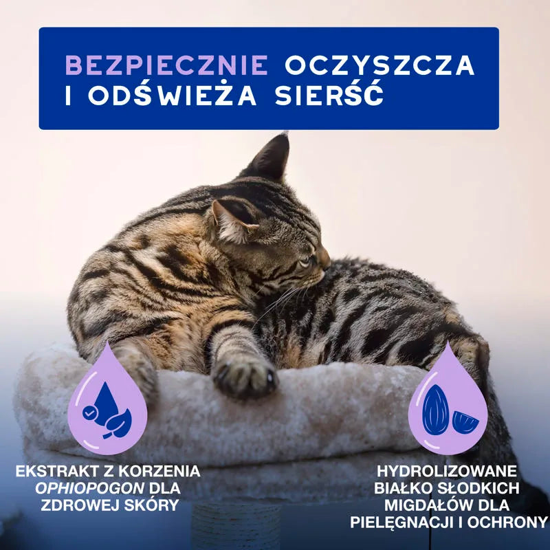 DOUXO Skin & Coat SPA Cat Mousse 150ml ultra-bezpieczna pianka odświeżająca bez spłukiwania dla kotów