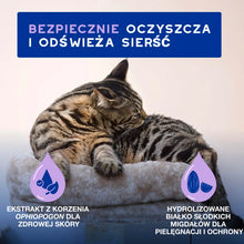 DOUXO Skin & Coat SPA Cat Mousse 150ml ultra-bezpieczna pianka odświeżająca bez spłukiwania dla kotów