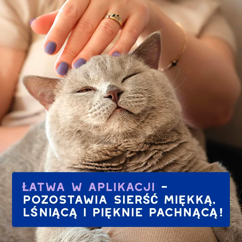 DOUXO Skin & Coat SPA Cat Mousse 150ml ultra-bezpieczna pianka odświeżająca bez spłukiwania dla kotów