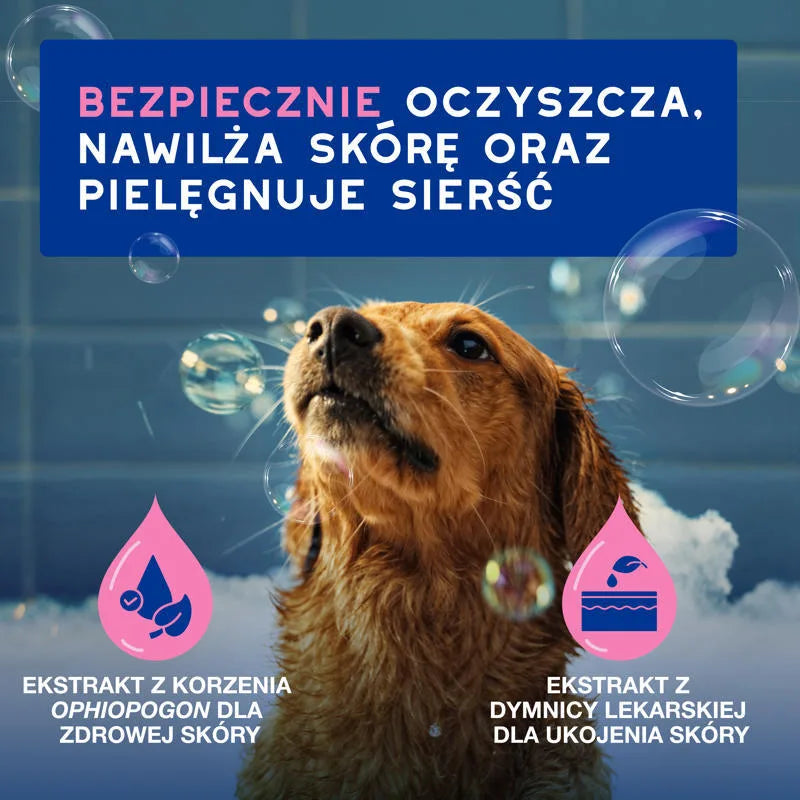 DOUXO Skin & Coat SPA Itch-Soothing 250ml ultrabezpieczny szampon dla psów z wrażliwą i swędzącą skórą