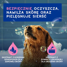 DOUXO Skin & Coat SPA Itch-Soothing 250ml ultrabezpieczny szampon dla psów z wrażliwą i swędzącą skórą