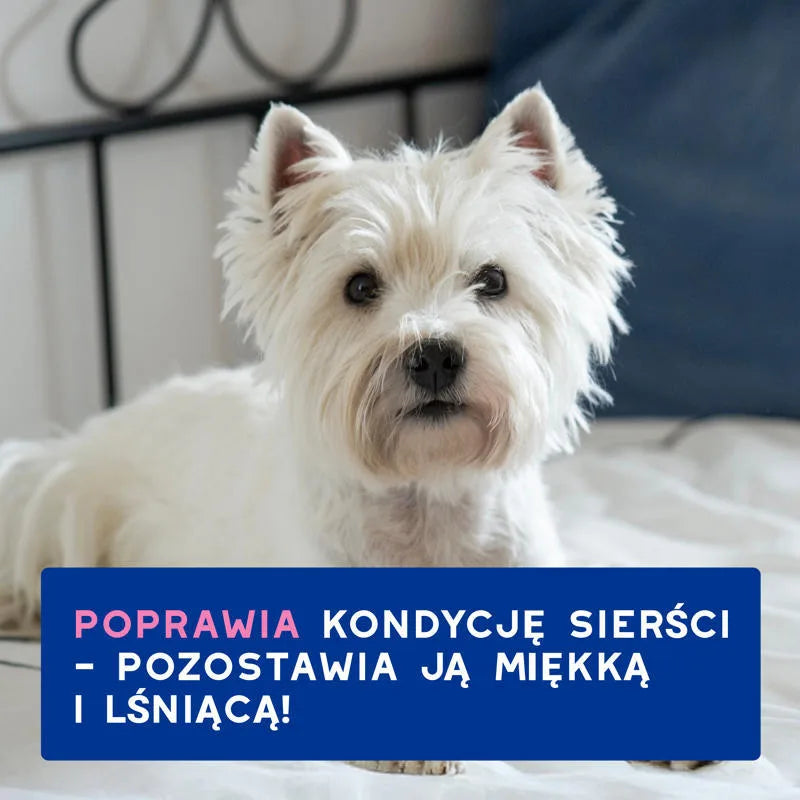 DOUXO Skin & Coat SPA Itch-Soothing 250ml ultrabezpieczny szampon dla psów z wrażliwą i swędzącą skórą