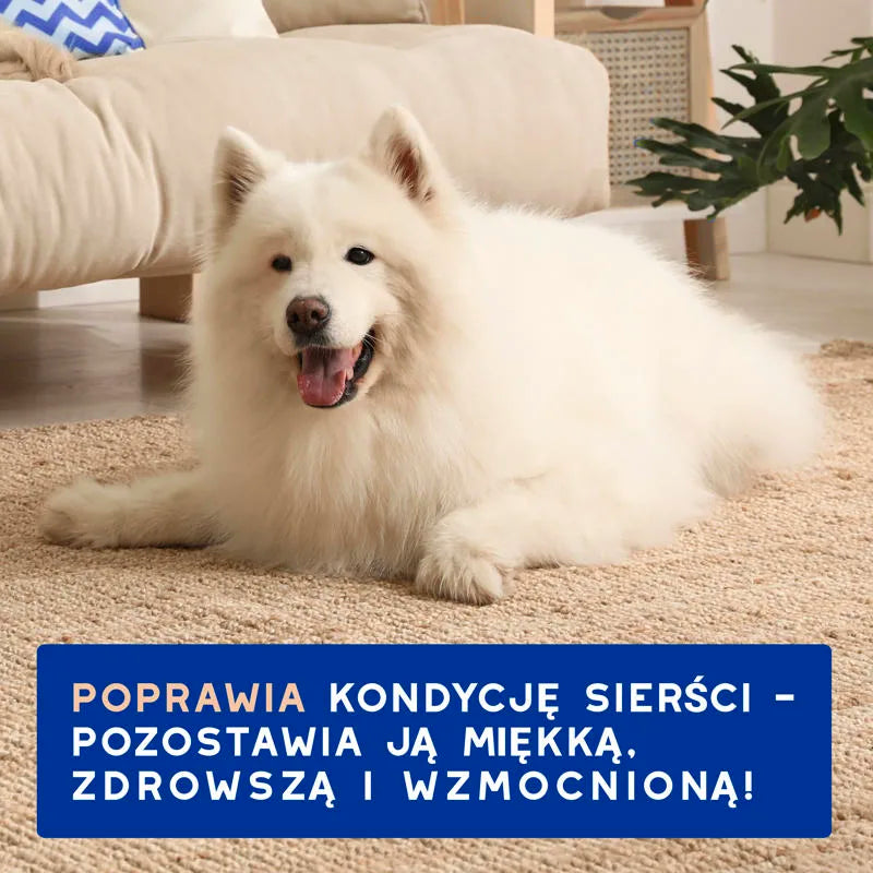 DOUXO Skin & Coat SPA Shed Control 250ml ultrabezpieczny szampon przeciw nadmiernemu linieniu dla psów