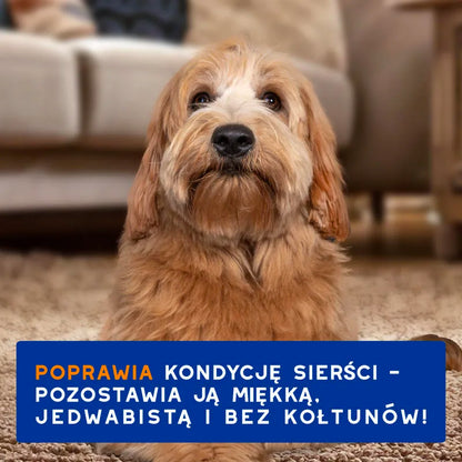 DOUXO Skin & Coat SPA 2in1 Detangling 250ml ultrabezpieczny szampon 2w1 z odżywką dla psów