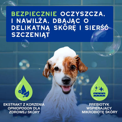 DOUXO Skin & Coat SPA Puppy 250ml ultrabezpieczny szampon dla szczeniąt