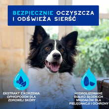 DOUXO Skin & Coat SPA Dog Mousse 150ml ultrabezpieczna pianka odświeżająca bez spłukiwania dla psów