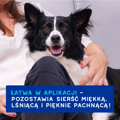 DOUXO Skin & Coat SPA Dog Mousse 150ml ultrabezpieczna pianka odświeżająca bez spłukiwania dla psów