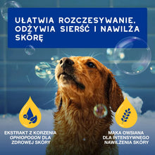 DOUXO Skin & Coat SPA Conditioner 250 ml ultrabezpieczna odżywka owsiana dla psów