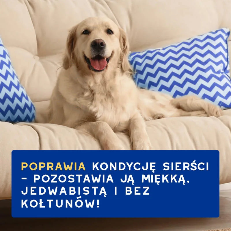 DOUXO Skin & Coat SPA Conditioner 250 ml ultrabezpieczna odżywka owsiana dla psów