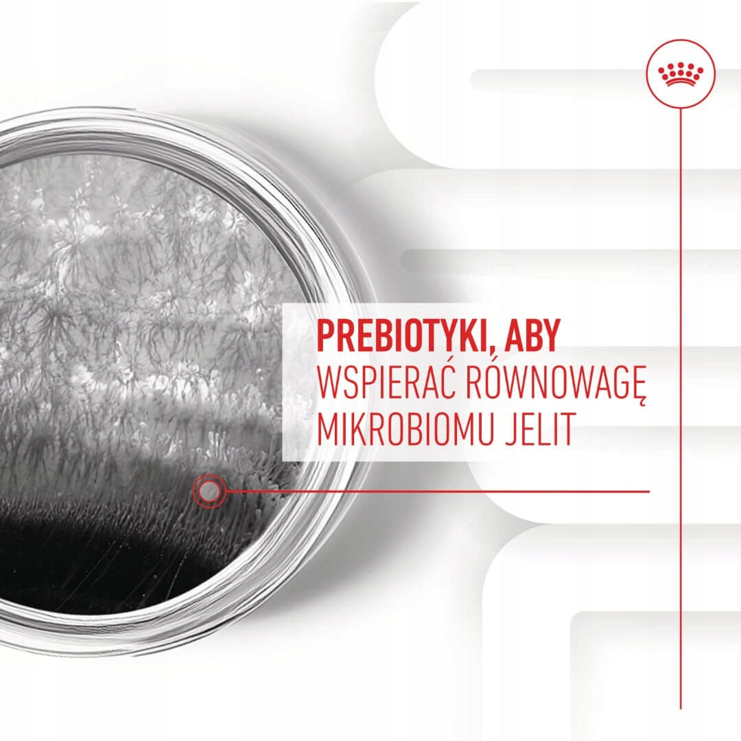 ROYAL CANIN Digestion Chews Adult Dog Supplements 160g Przysmak dla psa