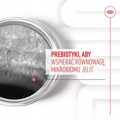 ROYAL CANIN Digestion Chews Adult Dog Supplements 160g Przysmak dla psa