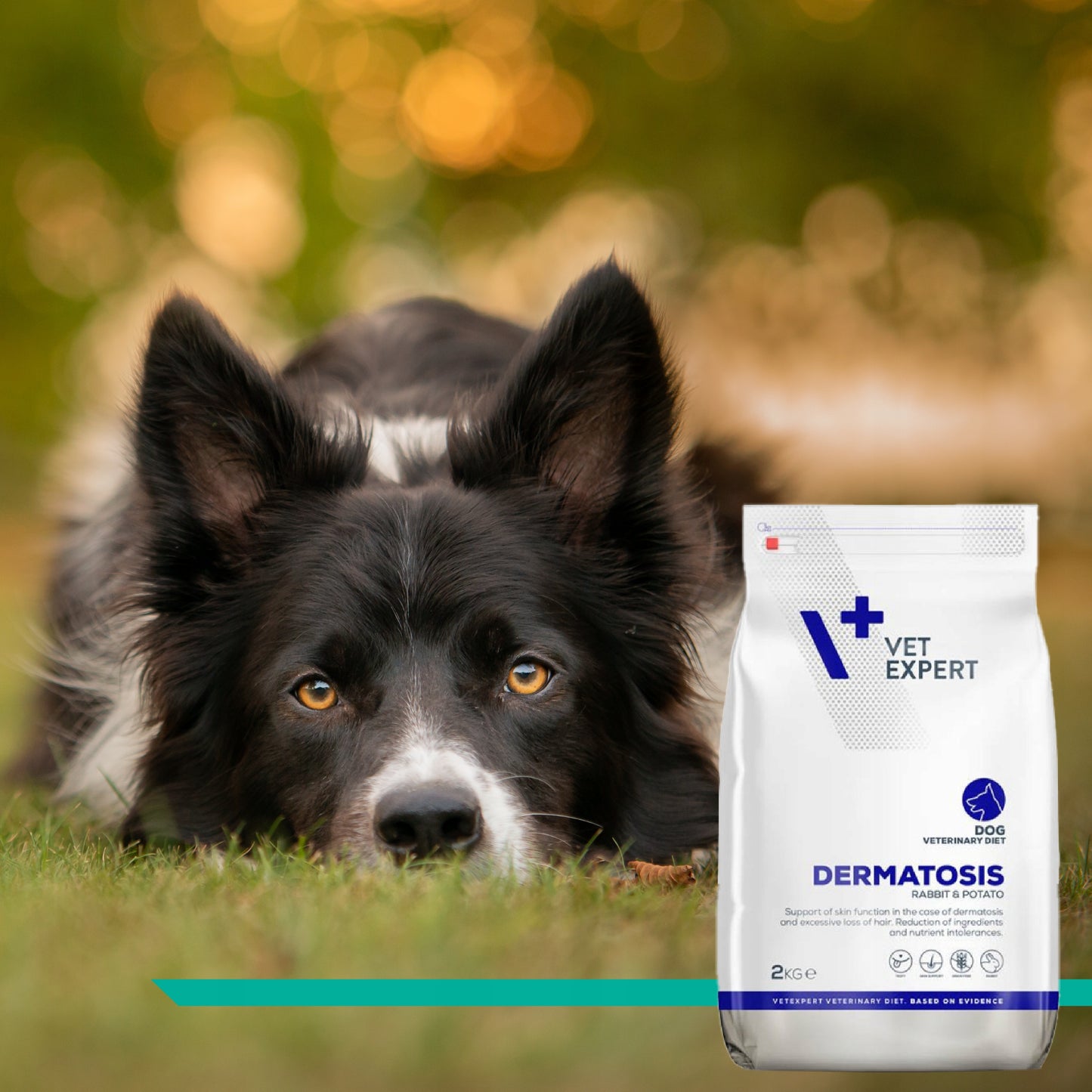 VET EXPERT 4t VD Dermatosis Dog Rabbit & Potato 2kg