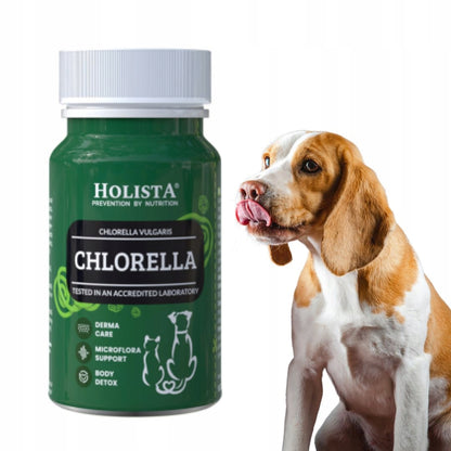 Holista Chlorella 90tab