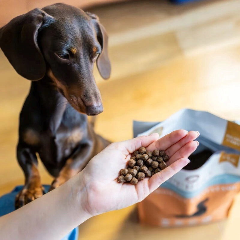PERRO Wołowina z Batatami dla małych ras 3 kg