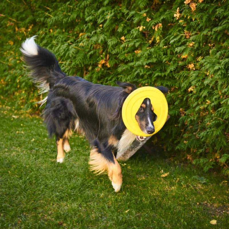 Fiboo Frisbee Frisboo żółty