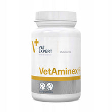 VetExpert VetAminex Preparat dla Psów i Kotów z Witaminami 60 Kapsułek