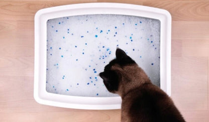Litty Kitty Żwirek Silikonowy dla kota 3,8 litra bezzapachowy