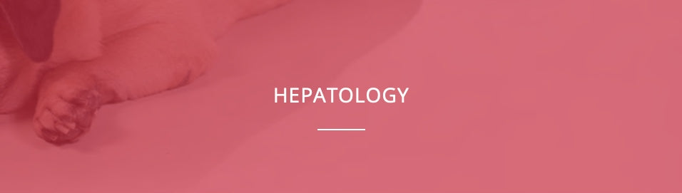 NBF Lanes Hepatikrill Cane e gatto 30 kapsułek