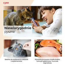INABA CAT Churu Varieties Tuńczyk 50x14g słoik 700g