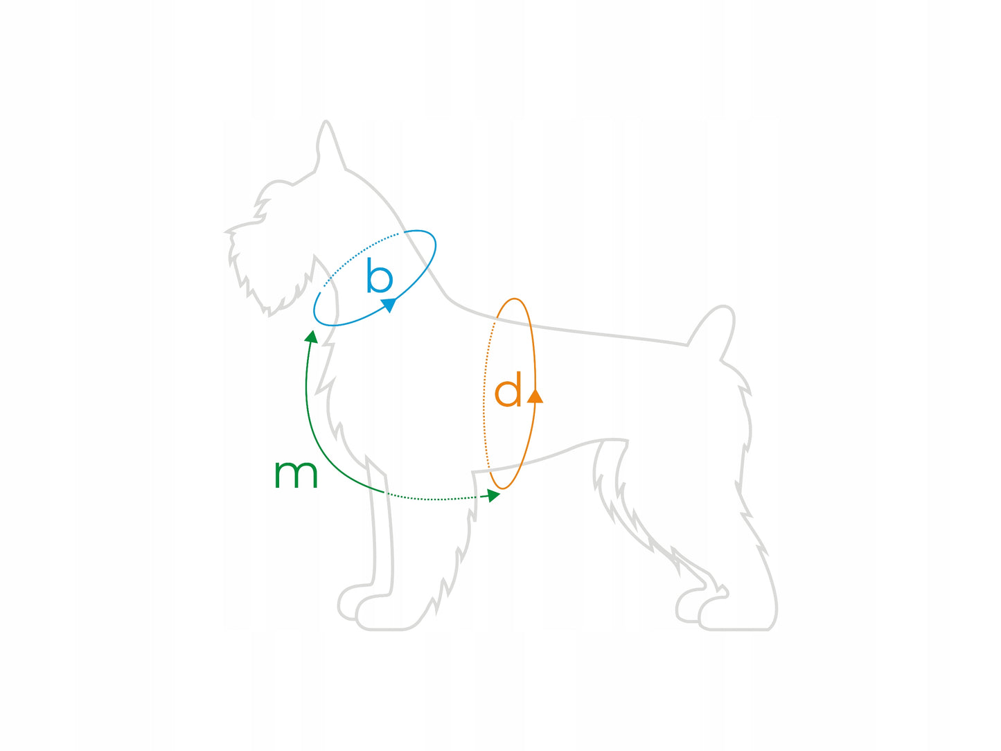 AMIPLAY Szelki regulowane Guard Popular M Czerwone