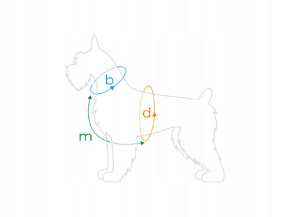 AMIPLAY Szelki regulowane Guard Popular M Czerwone