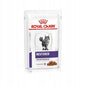 Royal Canin Cat Neutered Maintenance Gravy 85g