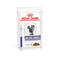 Royal Canin Cat Mature Consult Gravy 85g